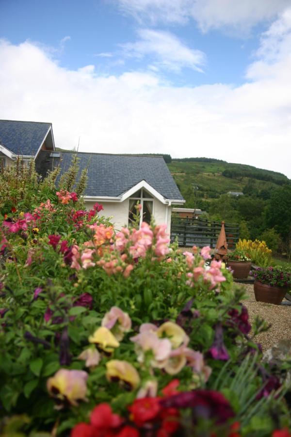 Wicklow Way Lodge Екстер'єр фото
