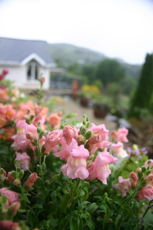 Wicklow Way Lodge Екстер'єр фото