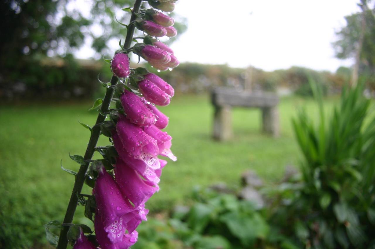 Wicklow Way Lodge Екстер'єр фото