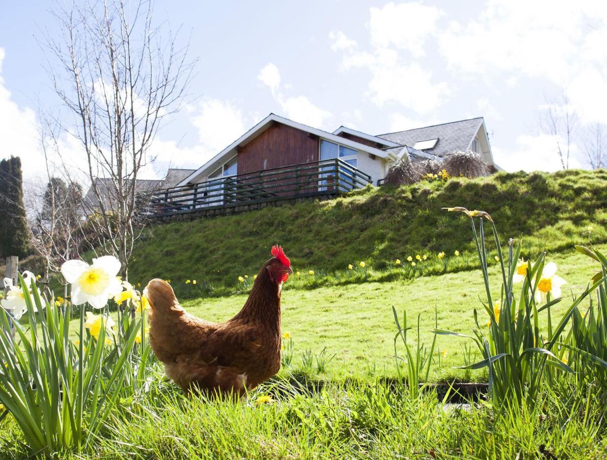 Wicklow Way Lodge Екстер'єр фото